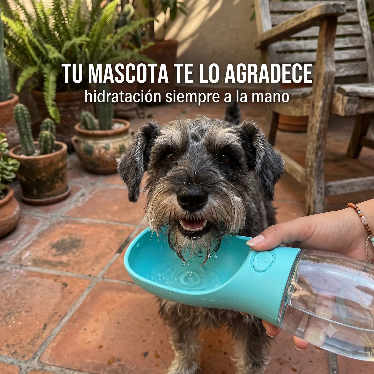 Bebedero Portátil Antigoteo para Mascotas · Botella + Cuenco 2 en 1