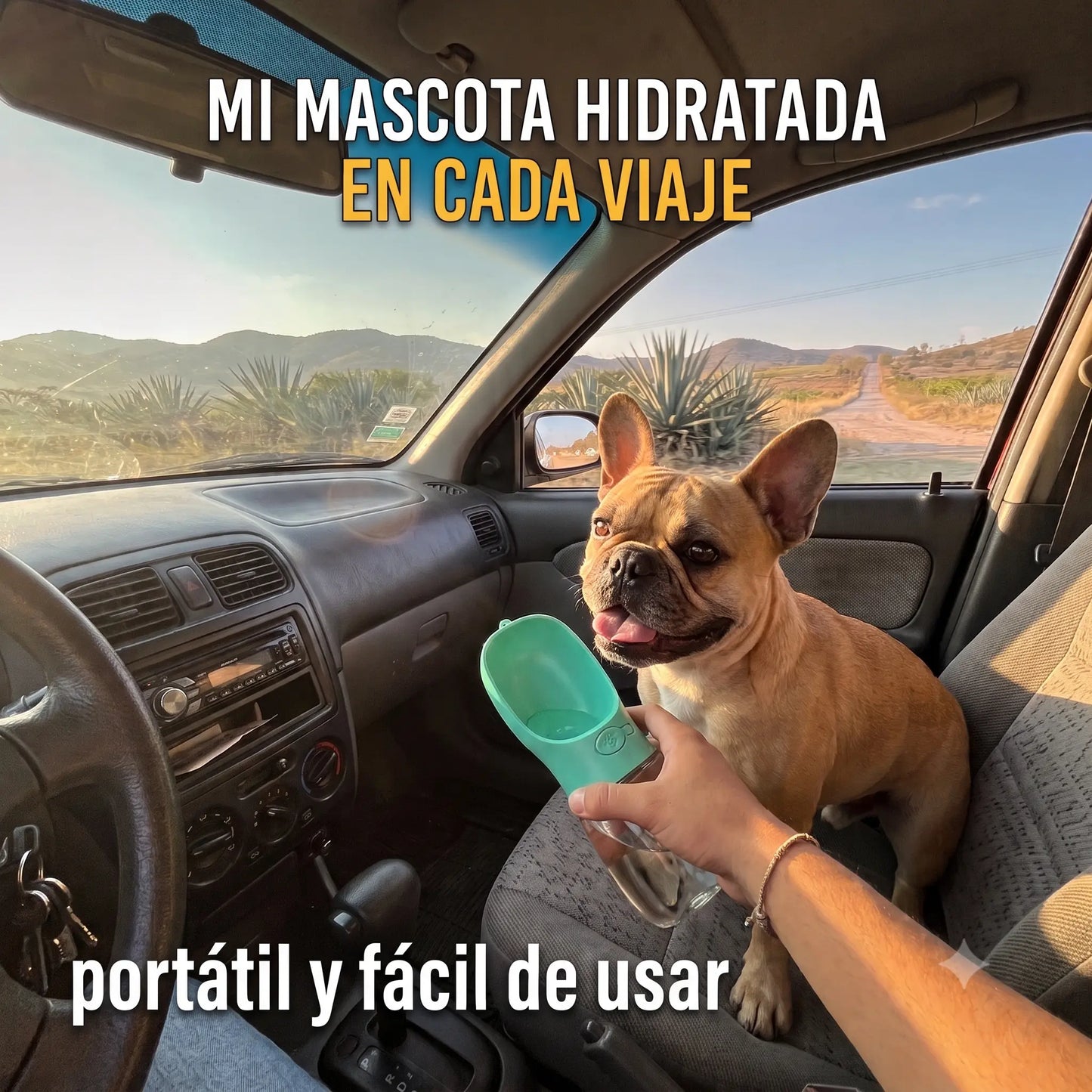 Bebedero Portátil Antigoteo para Mascotas · Botella + Cuenco 2 en 1